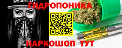 индика Северобайкальск