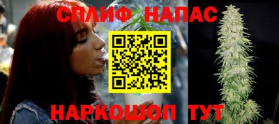 индика Северобайкальск