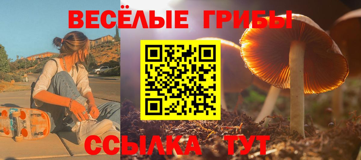 Архангельск  Псилоцибиновые грибы ЛСД  Вход с VPN 