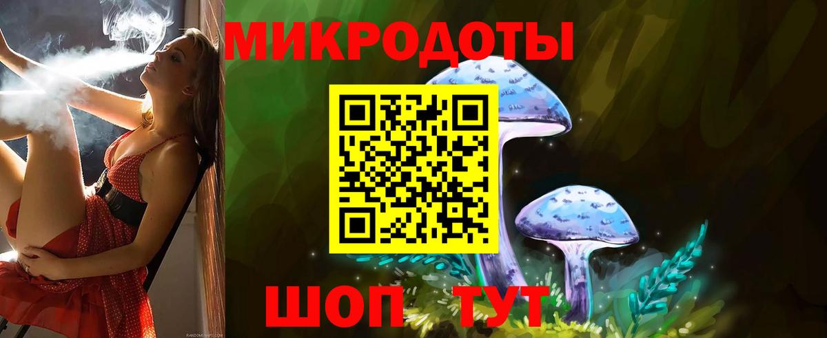 Галлюциногенные грибы мухоморы Архангельск